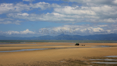 沙子,海滩,新西兰纳尔逊城市,塔斯曼地区,水,天空,水平画幅,无人,澳大拉西亚,夏天