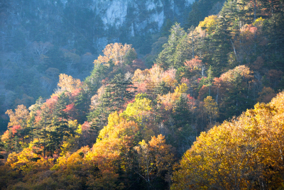 秋天,日本,早晨,北海道,山谷,层云峡,水平画幅,橙色,地形,无人