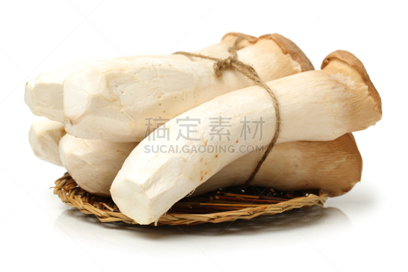 蚝蘑,杏鲍菇,白色背景,分离着色,褐色,水平画幅,小的,鲍鱼,素食,无人
