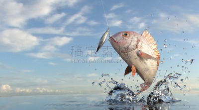 海洋,鱼钩,非凡的,笛鲷,民间舞,鱼饵,风景,自然,海产,运动