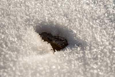 雪,叶子,自然,水平画幅,地形,无人,穿雪鞋走路运动,户外,冰,冻结的