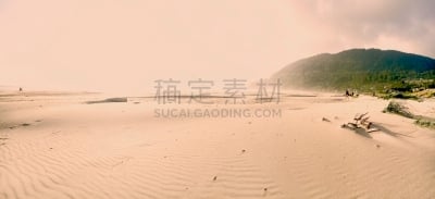 海岸地形,热霾,粉色,石兰科常绿灌木,柔和色,俄勒冈州,美国西北太平洋地区,气候,旅途,云景