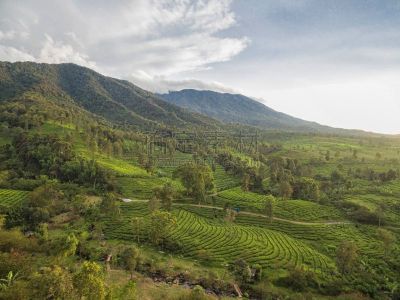 茂物,印度尼西亚,山景城,无人,自然,图像,户外,水平画幅,地形,山