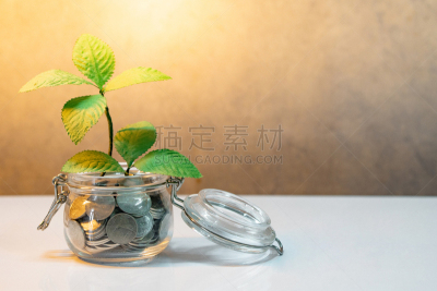 植物,救球,商务,桌子,概念,广口瓶,绿色,背景聚焦,生长