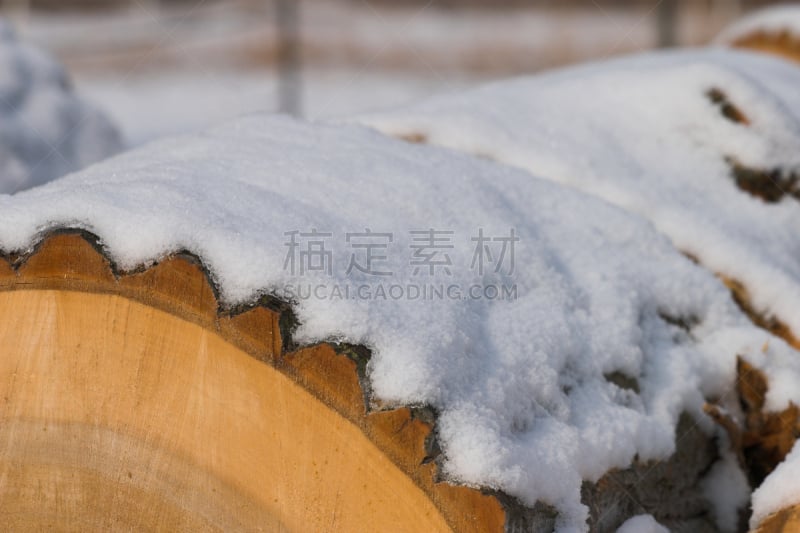 冬天,树干,褐色,水平画幅,能源,雪,无人,木材,户外,生物质