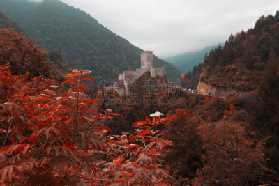 要塞,戒指,城堡,接力赛,地形,夏天,绿色,石材,中间部分,古老的