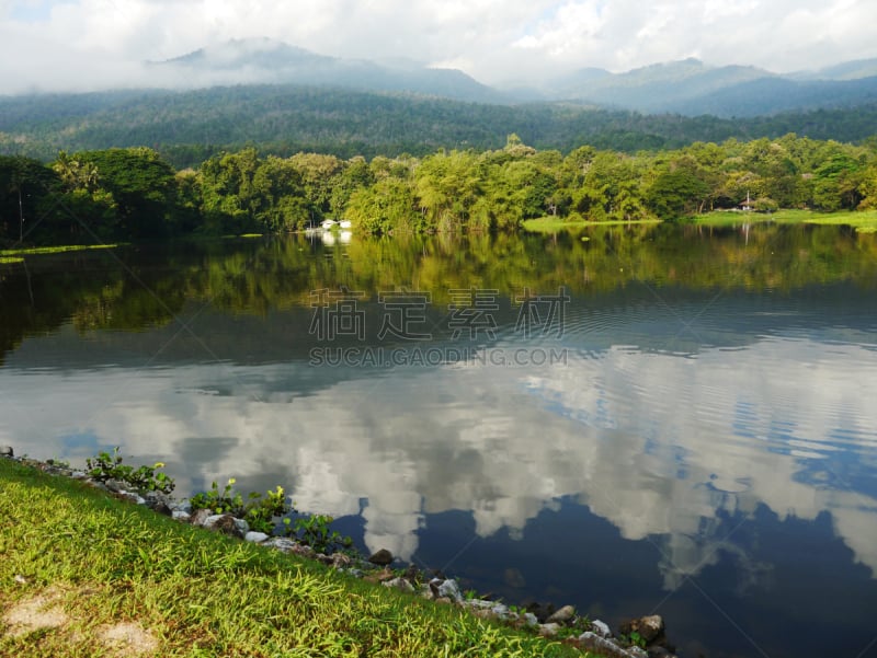 水塔,凤眼莲,水库,自然,旅游目的地,水平画幅,绿色,无人,户外,齿状山脊