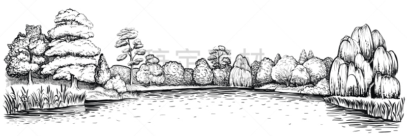 绘画插图,湖,矢量,地形,全景,森林,动物手,河岸,池塘,香蒲