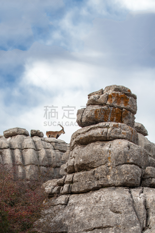 野生白山羊,高架铁路铁轨,康塞普西翁,自然,垂直画幅,图像特效,形状,山,地质学,无人