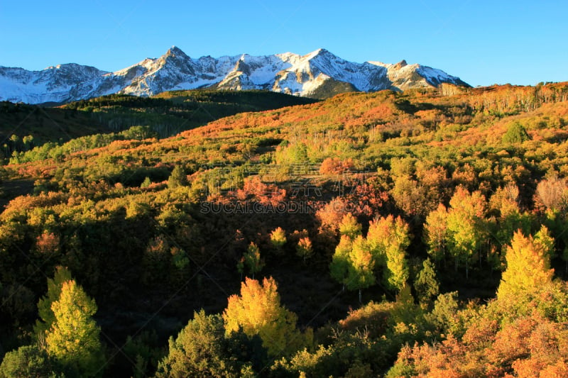 uncompahgre national forest,科罗拉多州,达拉斯市,海登山,斯奈佛尔斯山脉,奥瑞县,白杨类,天空,水平画幅,雪