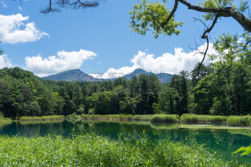 图像,水,天空,会津若松市,水平画幅,格希奇努麦,福岛县,夏天,沼泽,户外