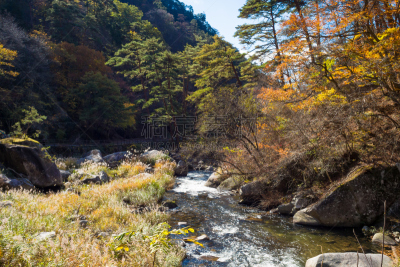 秋天,山谷,甲府市,山梨县,里山,沟壑,旅游目的地,水平画幅,地形,无人
