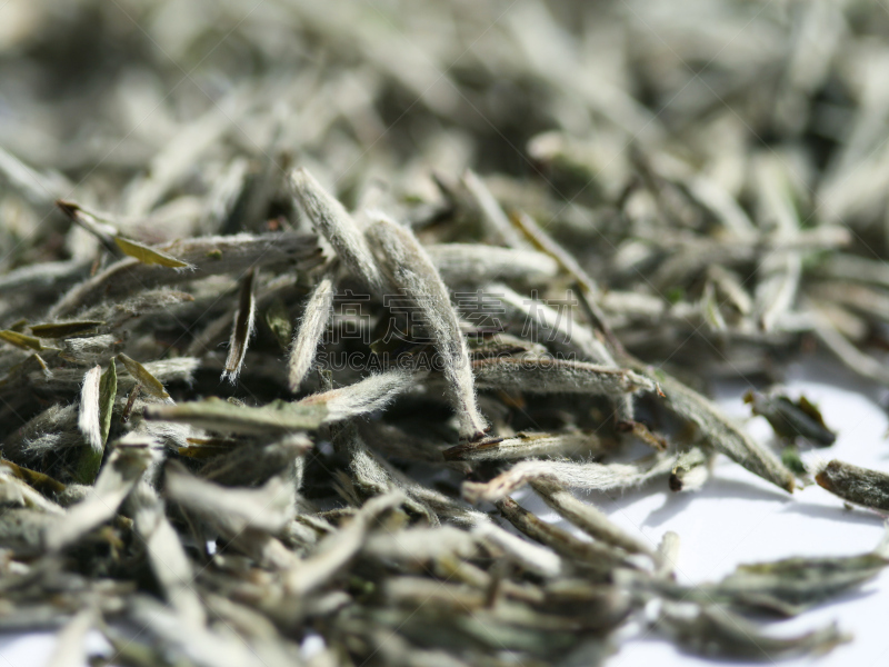 白茶,茶道,中国茶,茶叶,自然,水平画幅,无人,日本,有机食品,干的