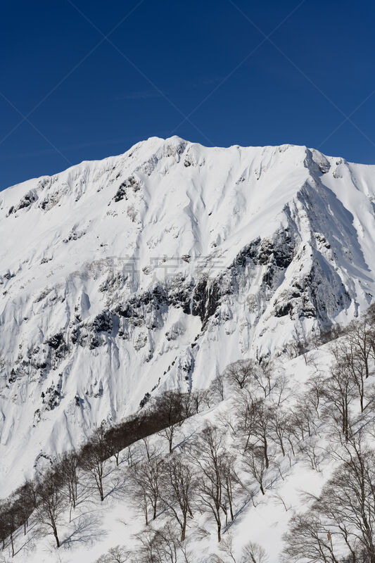 摄像机拍摄角度,自然,垂直画幅,风景,冬天,图像,雪,二月,无人,里山