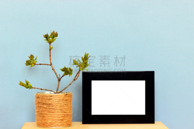 面无表情,相框,轻蔑的,正下方视角,文字,水平画幅,墙,古老的,图像