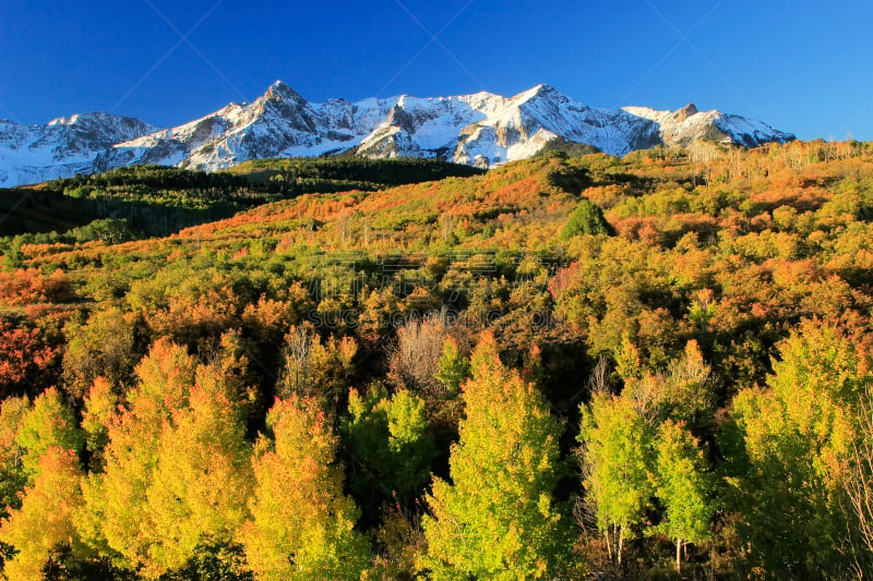 uncompahgre national forest,科罗拉多州,达拉斯市,海登山,斯奈佛尔斯山脉,奥瑞县,白杨类,天空,水平画幅,雪