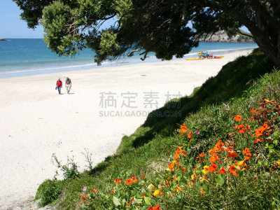 新西兰,海滩,哈海,水,天空,水平画幅,沙子,蓝色,古老的,伴侣