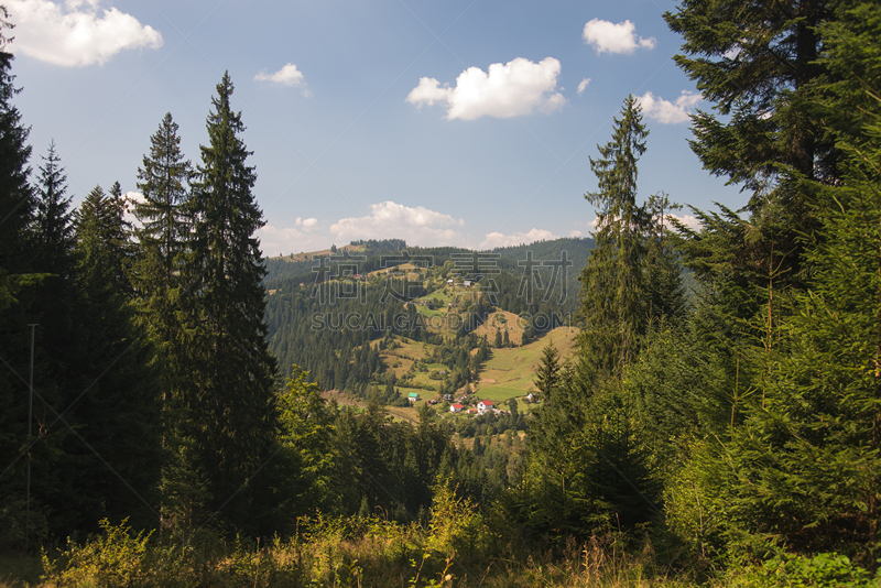 卡帕锡安山脉,格林威治村,地形,埃平森林,卡理安帖山脉,高山大猩猩,葛德,滑雪杖,苏格兰高地,自然