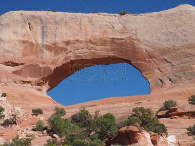 自然拱,桨叉架船,威尔逊拱,岩层,水平画幅,沙子,尖峰,户外,犹他,植物