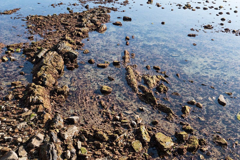 岩石,沉积岩,起源,大西洋,海岸线,背景,户外,天空,潮汐,欧洲