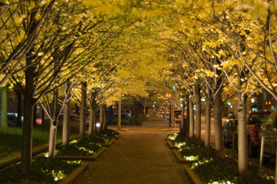 市区,城市,夜晚,黄色,热,照明设备,黄昏,图像,单车道,巷