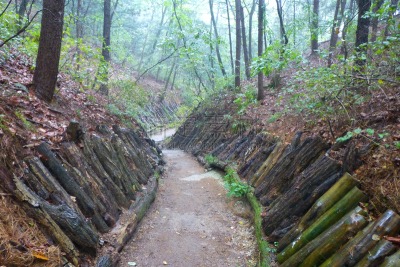 雨林,公园,水平画幅,山,湿,东亚,户外,树林,彩色背景,韩国