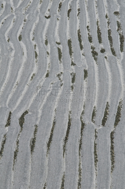 湖床,抽象,卤虫属,垂直画幅,彩色图片,无人,干的,波纹,背景,摄影