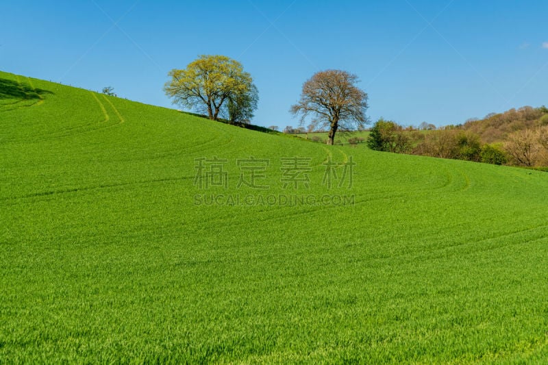 英格兰,英国,地形,西罗普,天空,水平画幅,山,无人,户外,草