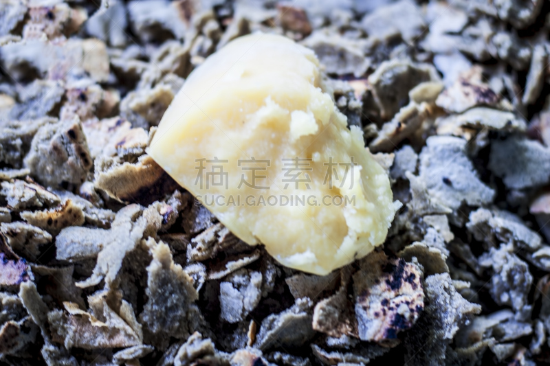 薄煎饼,珍珠粟,记录式光学踊跃跟踪仪,石膏,薄烤饼,抛饼,水平画幅,无人,纤维,特写