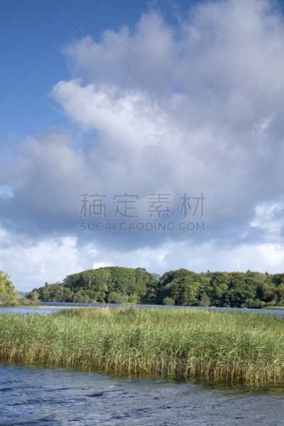 lough leane,湖,奇尔艾尼省立公园,克俐环,基拉尼,凯瑞郡,自然,垂直画幅,水,天空