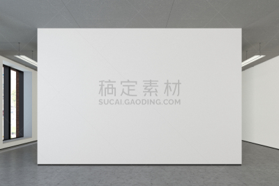 空白的,画廊的开幕式,画布,正面视角,留白,边框,艺术,水平画幅,墙