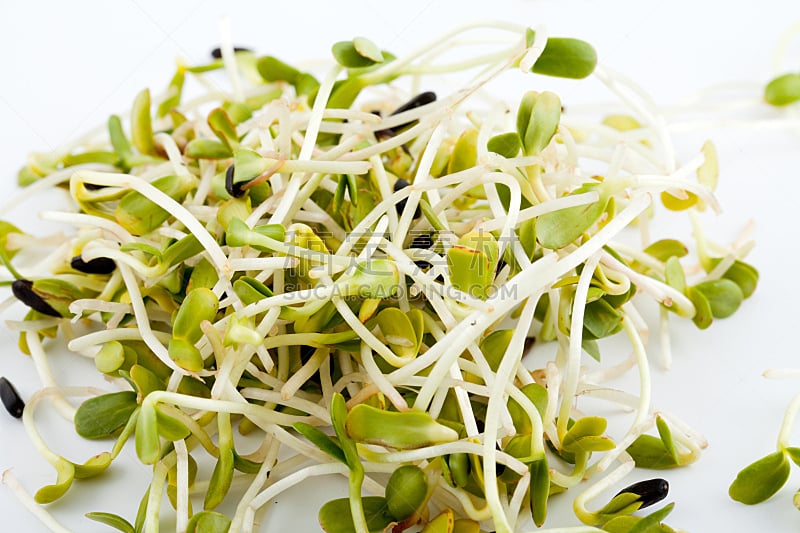 营养品 萝卜 饮食 紫花苜蓿 药丸 球芽甘蓝 水平画幅 素食 无人图片素材下载 稿定素材