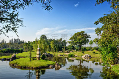日本,菜园,高雅,风景,水平画幅,夏天,户外,湖,草,阿巴斯·苏安