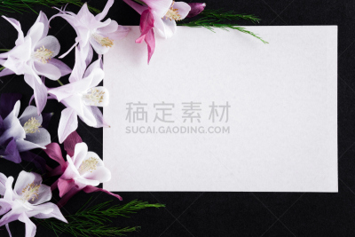 贺卡,空的,空白的,黑色,背景,白色,清新,文字,花,布置