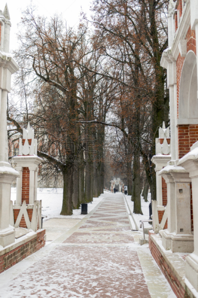 公园,莫斯科,小路,过去,高,围墙,垂直画幅,天空,雪,黄昏