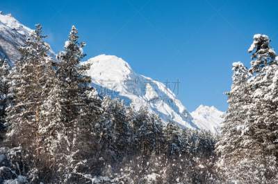 冬天,山,森林,白昼,晴朗,沟壑,水平画幅,雪,户外