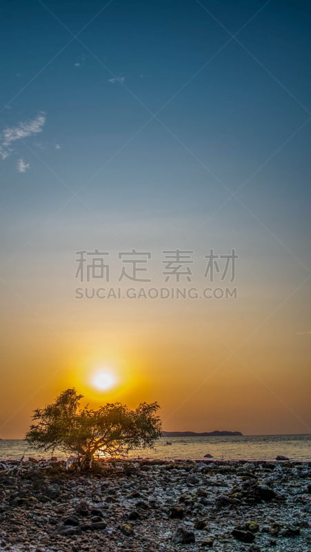 海滩,垂直画幅,玛格丽特,克里特岛,沙姆谢伊赫,沙子,索维拉城,户外,要塞,阿鲁巴