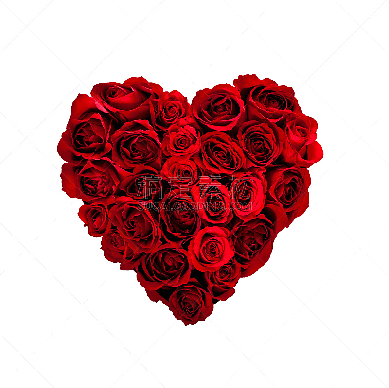 玫瑰,心型,情人节,花束,红色,婚礼,水平画幅,无人,白色背景,背景分离