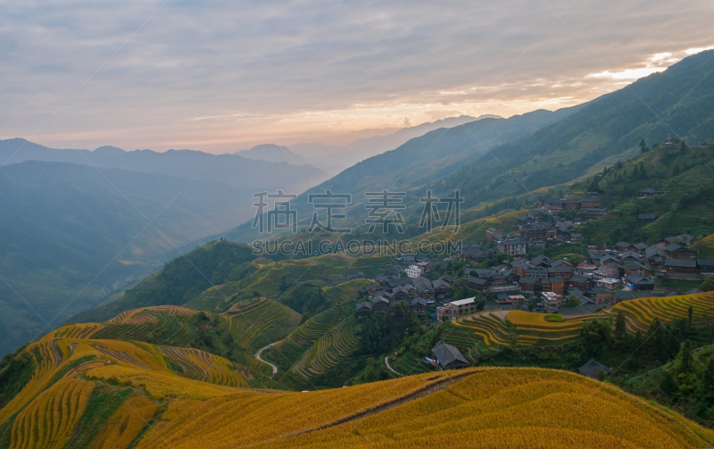 中国,稻,梯田,瑶族,龙胜,阳朔,水稻梯田,稻田,原野,度假村
