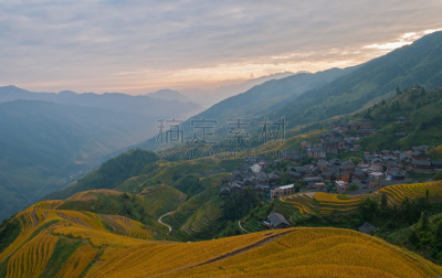 中国,稻,梯田,瑶族,龙胜,阳朔,水稻梯田,稻田,原野,度假村