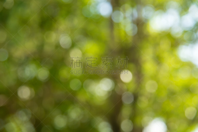 圆形,背景,抽象,背景虚化,中世纪花饰字母,迪斯科,新的,夜晚,明亮,娱乐俱乐部