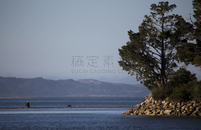 picton,渡轮,新西兰,风景,akaroa,自然,图像,海洋,客轮,海岸线