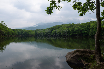 水,湖,地形,安静,自然美,五只动物,知床五湖,知床半岛,北海道,湖岸