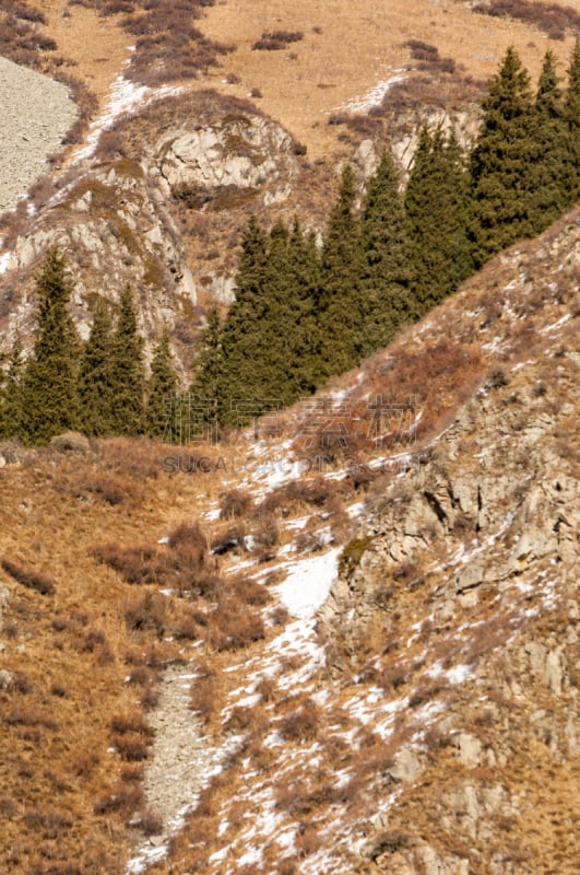 天山山脉,苏格兰高地,垂直画幅,度假胜地,夜晚,雪,无人,早晨,户外