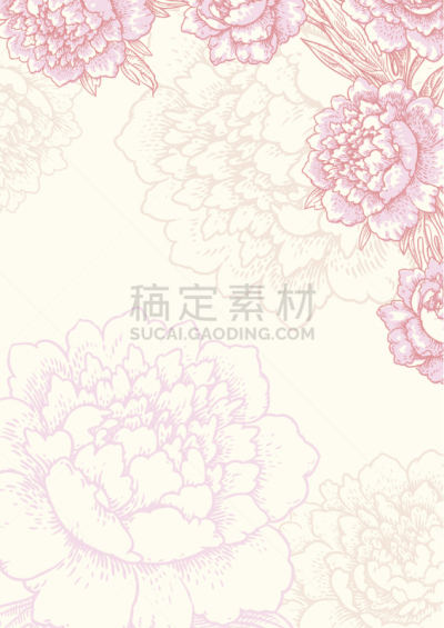 花纹,贺卡,背景,宾客名单,牡丹,情人节卡,情人节,收据,留白,边框