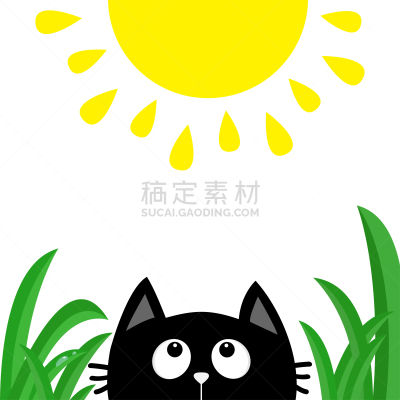 可爱的,草,动物,动物头,宠物,猫,露水,绿色,太阳,黑色