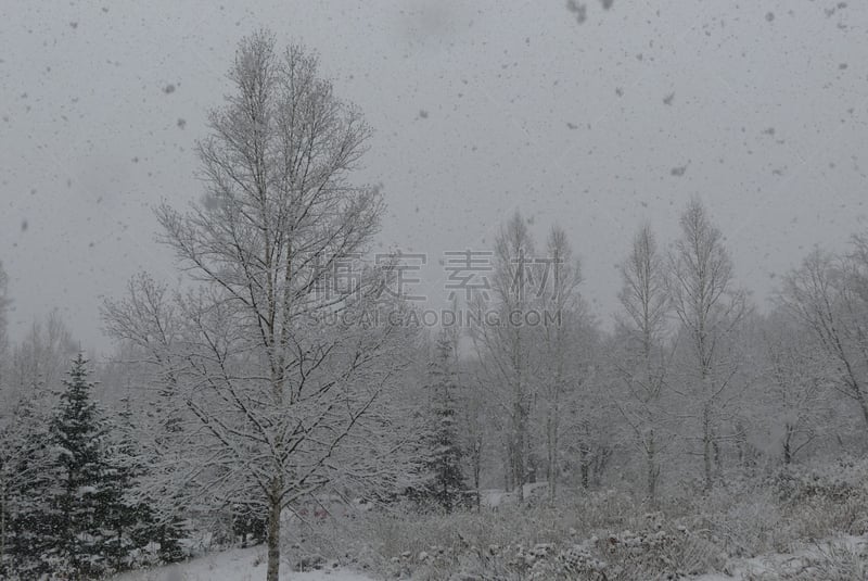 雪,天空,寒冷,二世谷町度假村,水平画幅,无人,日本,二世谷,户外,北海道