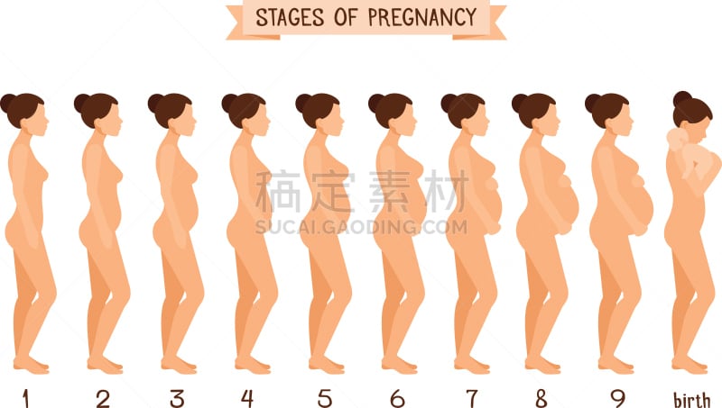 健康保健,女人,平坦的,自然美,人类母体内发育阶段,孕妇装,人类形象,怀孕的,孕检