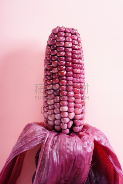 玉米,紫色,垂直画幅,艺术,外套,无人,生食,夏天,泰国,植物