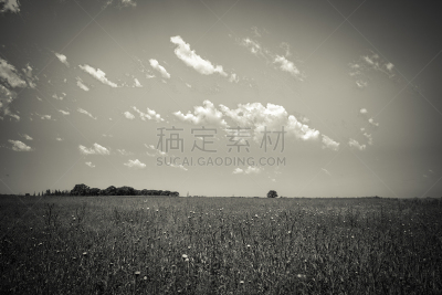 田地,农业,气候,环境,云,天气,巴塔哥尼亚,春天,农场,阿根廷